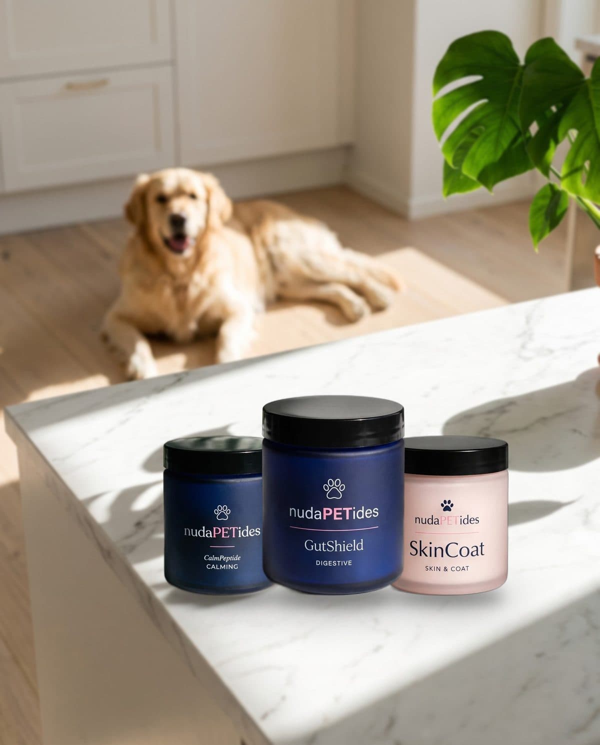 nudaPETides daily supplements on a kitchen counter, with a golden retriever resting behind