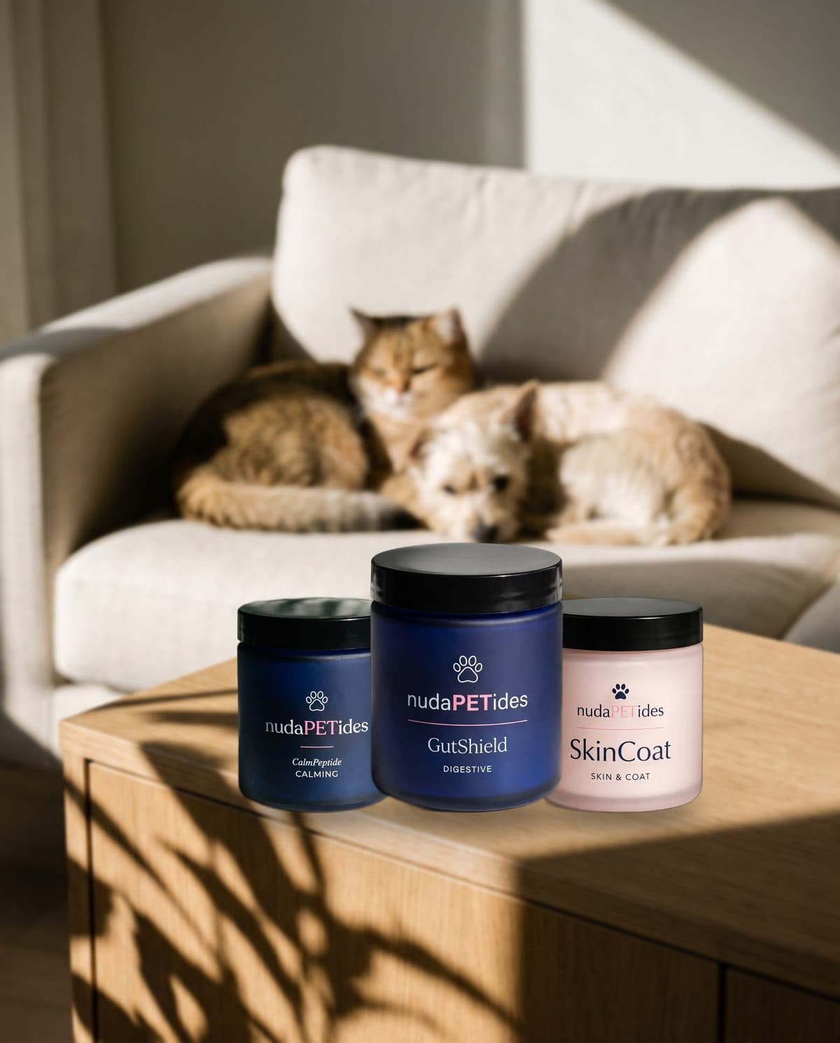 nudaPETides daily supplement jars on a side table, with a cat and dog resting on the sofa behind